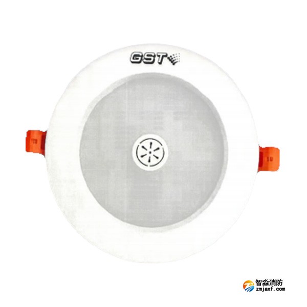 西藏海灣HW-ZFJC-E9W-N652SG集中電源集中控制型消防應(yīng)急照明燈具