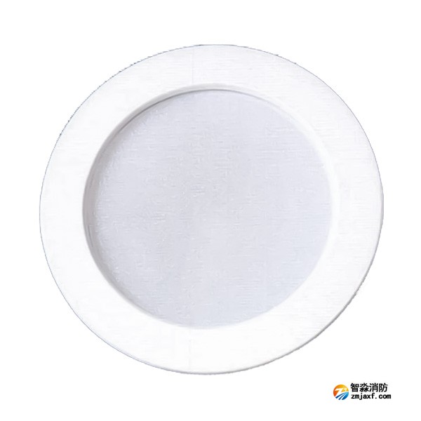 西藏海灣SJ-ZFJC-E5W/ZQ5C集中電源集中控制型消防應(yīng)急照明燈具 吸頂/壁掛